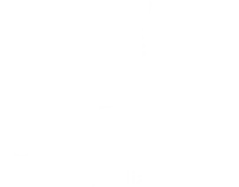 Carretel mídia